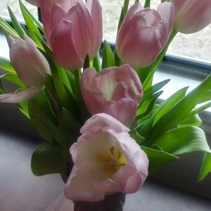 Meet your Posher, Janeth